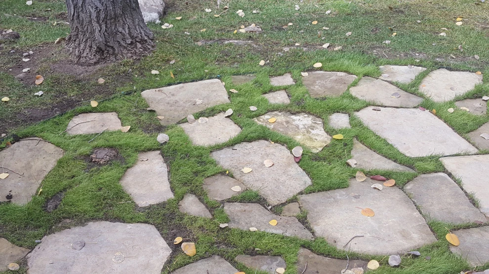 Patios and Walkways by Earth Songs Gardening - Photo 3