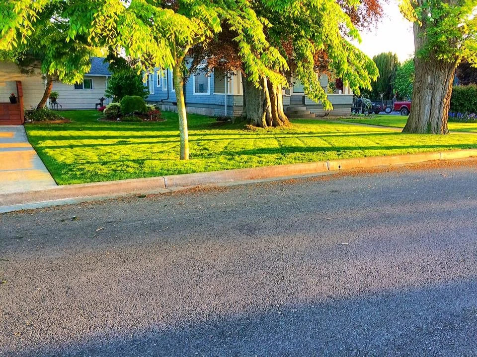 Evergreen Coast Lawn Care - Photo 8