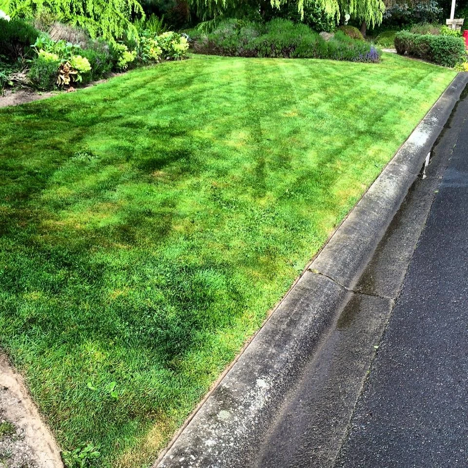 Evergreen Coast Lawn Care - Photo 11
