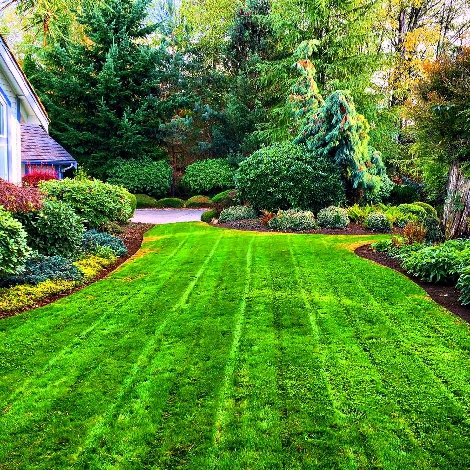 My Portfolio by Evergreen Coast Lawn Care - Photo 10