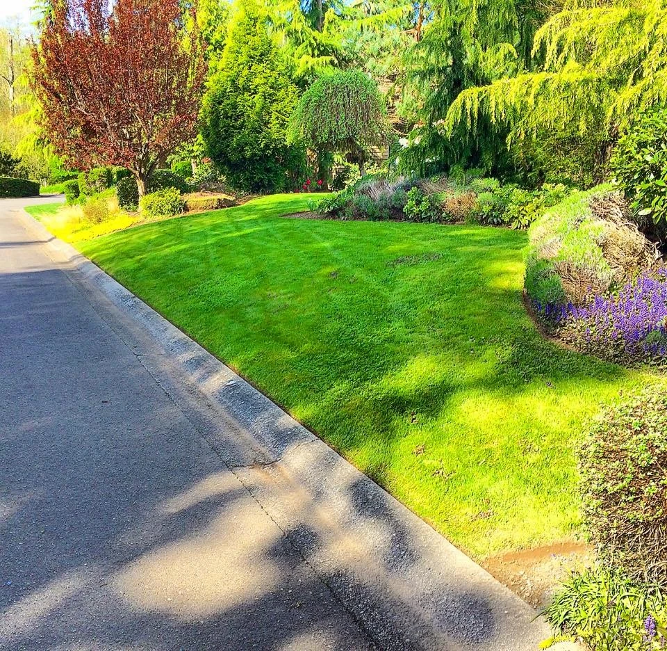 My Portfolio by Evergreen Coast Lawn Care - Photo 11