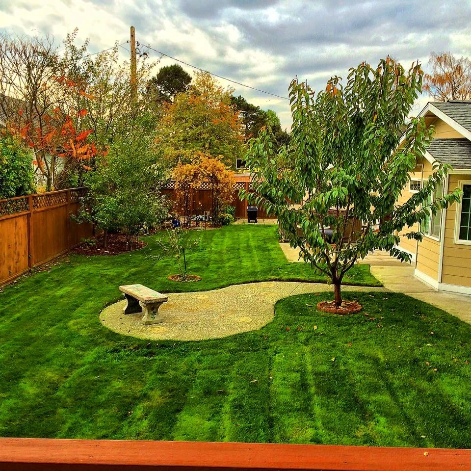 My Portfolio by Evergreen Coast Lawn Care - Photo 16