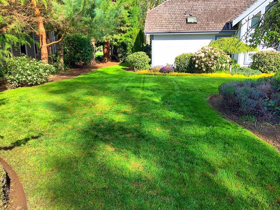 Evergreen Coast Lawn Care - Photo 5