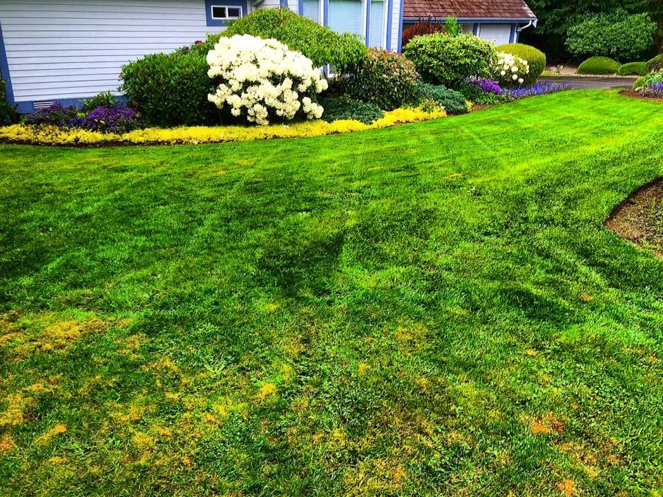 My Portfolio by Evergreen Coast Lawn Care - Photo 17