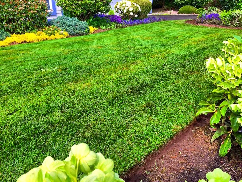 Evergreen Coast Lawn Care - Photo 14