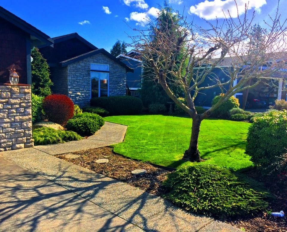 Evergreen Coast Lawn Care - Photo 10