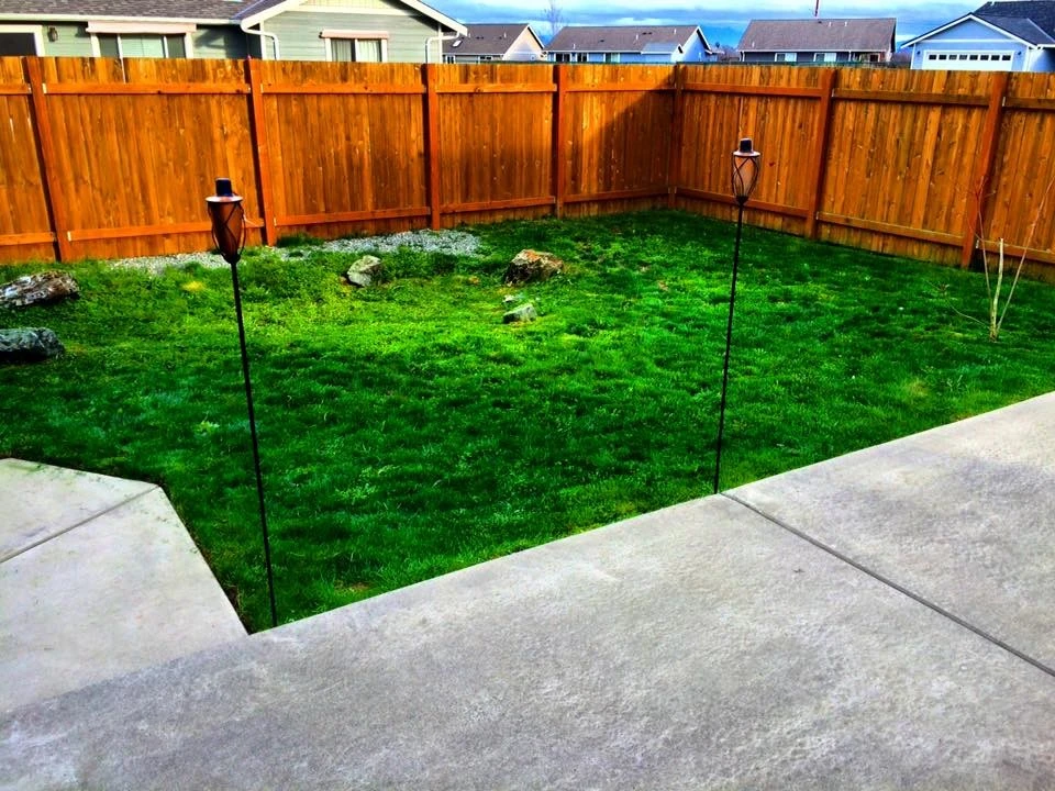 Evergreen Coast Lawn Care - Photo 13