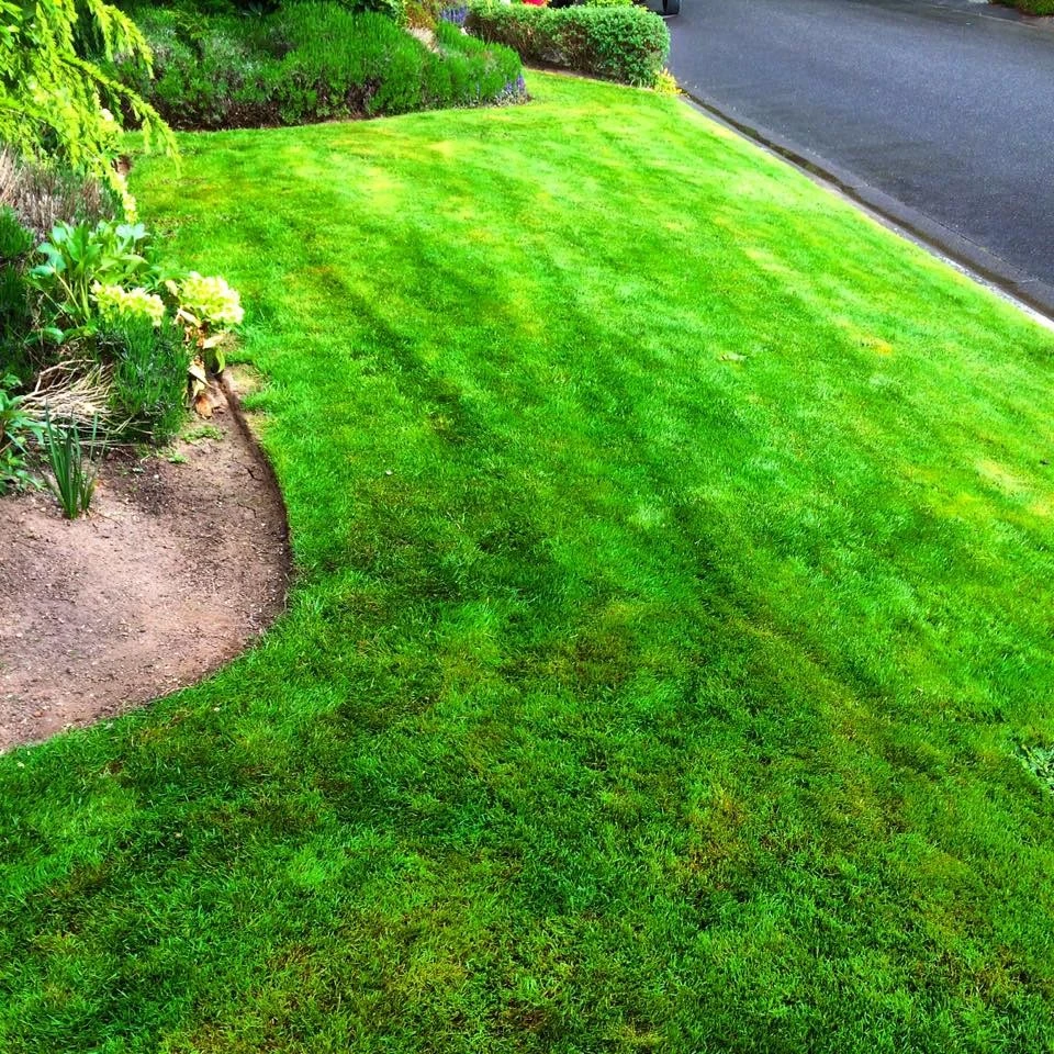 My Portfolio by Evergreen Coast Lawn Care - Photo 18