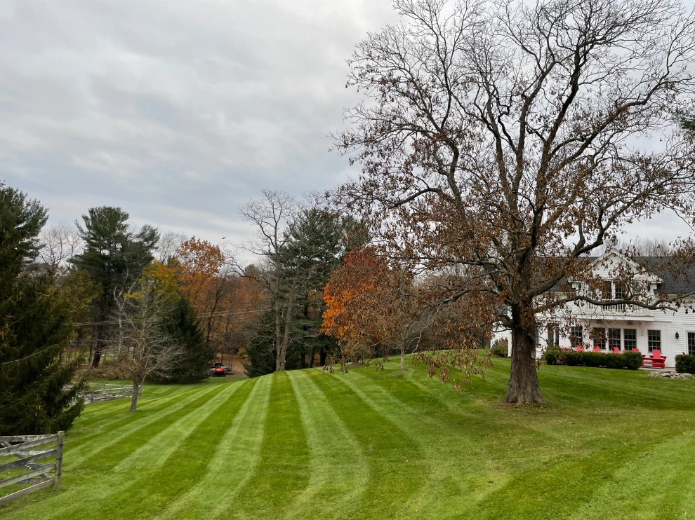 Our Work by Everything Green Lawn & Landscape - Photo 6