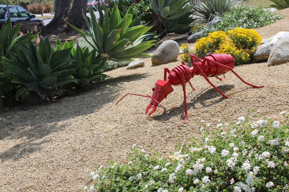Drought-TolerANT yard by Flores Artscape, Inc. - Photo 3