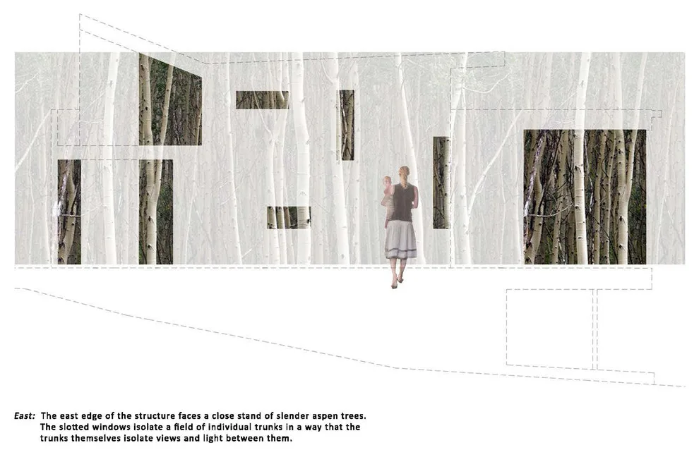 Proximal | Distant Residence by Willis Pember Architects - Photo 12