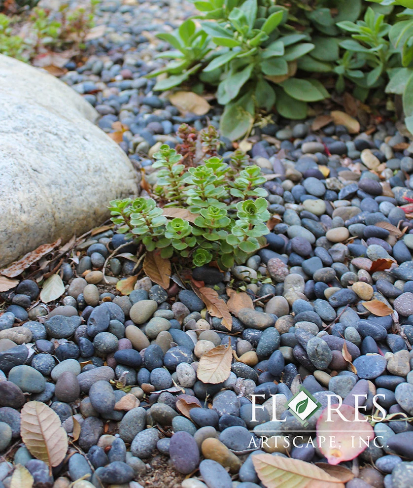 Low-Maintenance Landscape Elements by Flores Artscape, Inc. - Photo 28