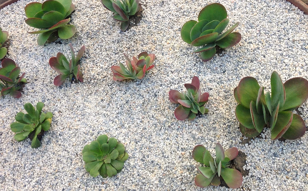 Low-Maintenance Landscape Elements by Flores Artscape, Inc. - Photo 37