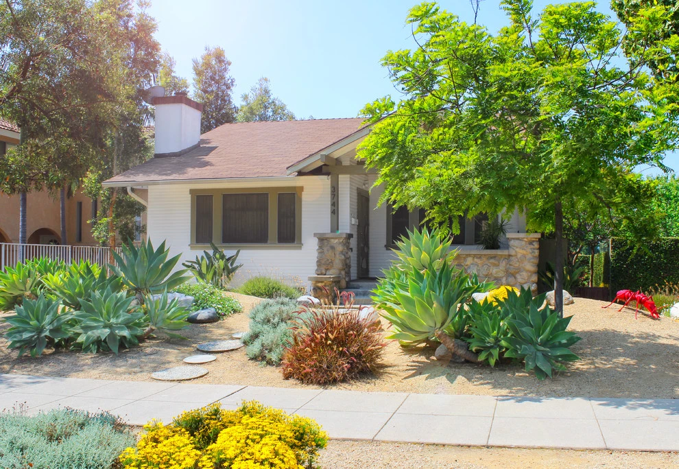 Drought-TolerANT yard by Flores Artscape, Inc. - Photo 10