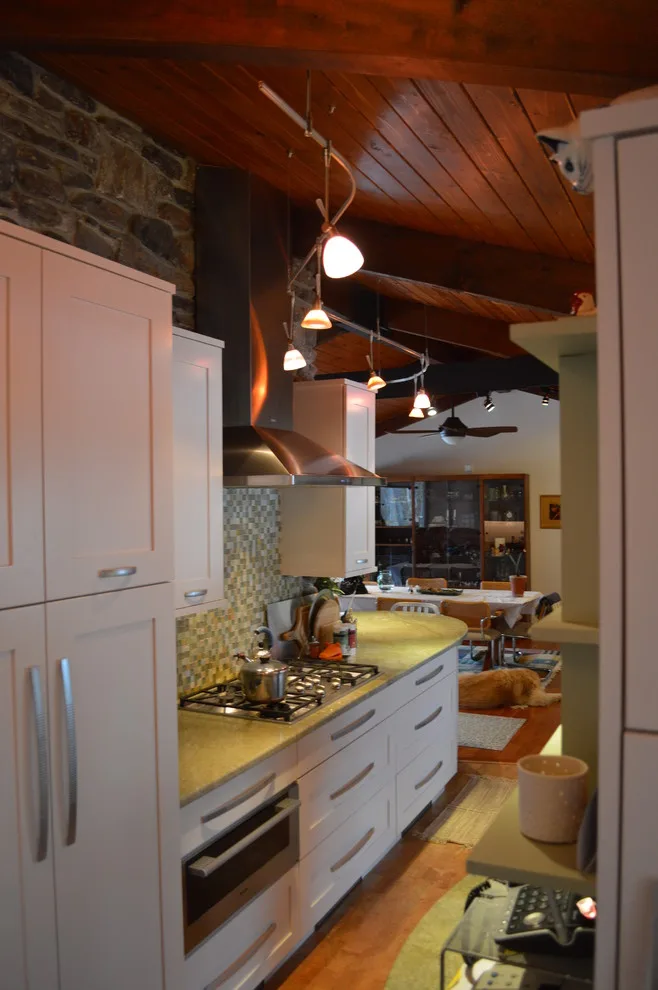 Kitchen Renovation and New Entry by Littlewolf Architecture - Photo 3
