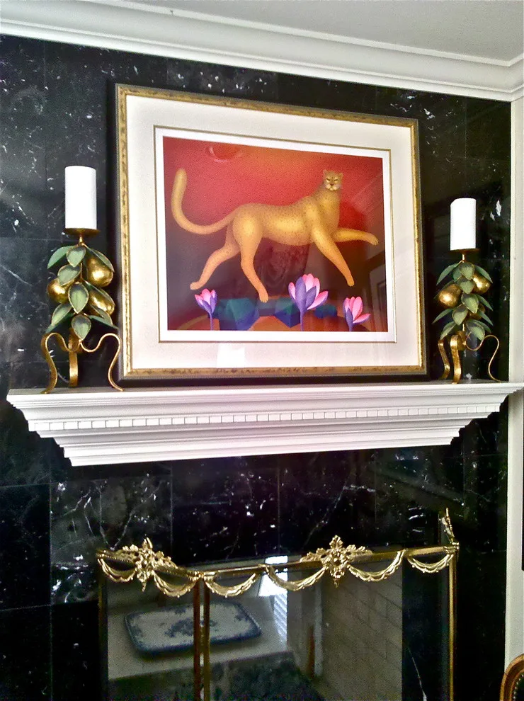 Fireplace Transformations by Vikki Foley Interior Design - Photo 4