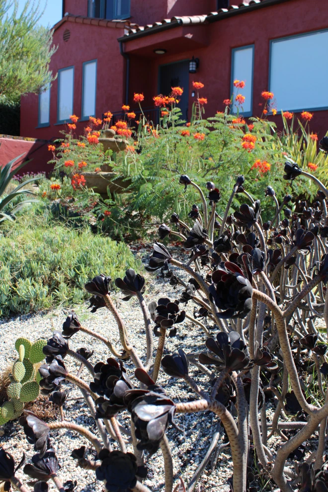 Low-Maintenance Landscape Elements by Flores Artscape, Inc. - Photo 12