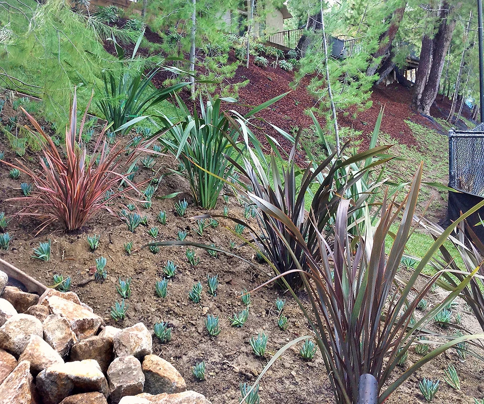 Low-Maintenance Landscape Elements by Flores Artscape, Inc. - Photo 9