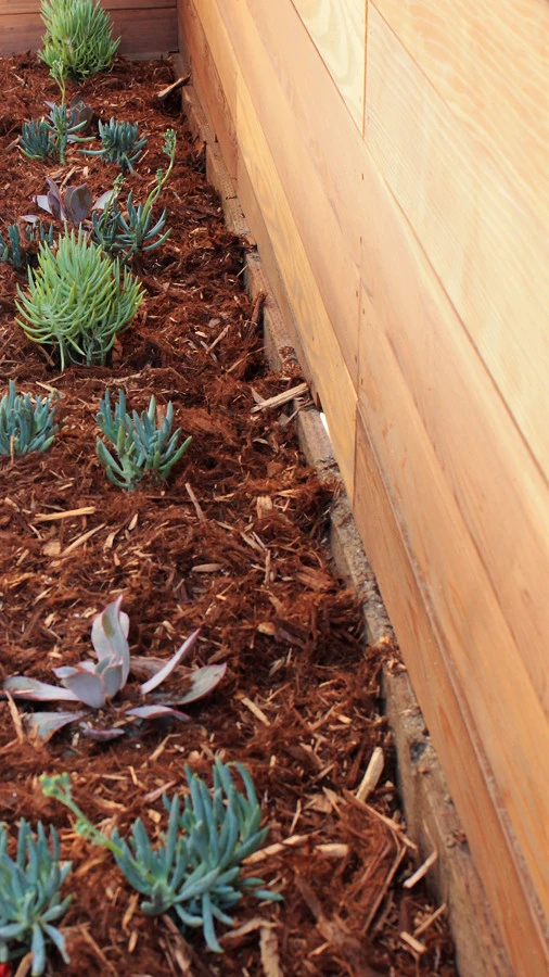 Before & After: Front & Backyard by Flores Artscape, Inc. - Photo 11