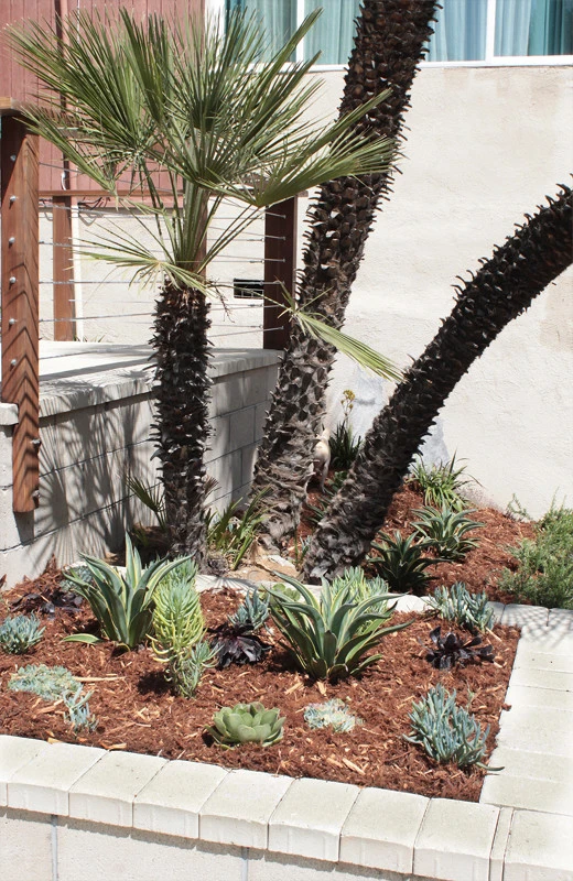 Before & After: Front & Backyard by Flores Artscape, Inc. - Photo 5
