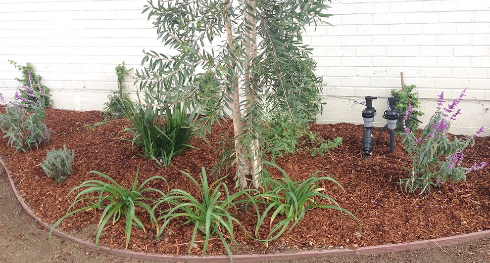 Low-Maintenance Landscape Elements by Flores Artscape, Inc. - Photo 4