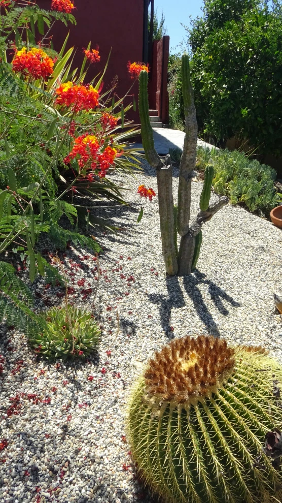 Low-Maintenance Landscape Elements by Flores Artscape, Inc. - Photo 17