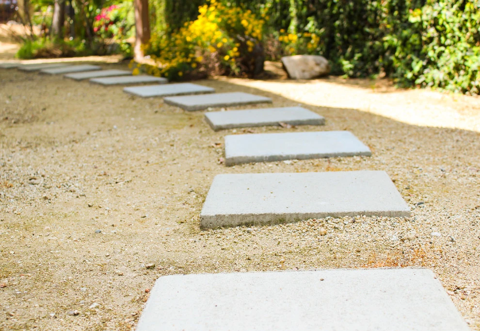 Drought-TolerANT yard by Flores Artscape, Inc. - Photo 9