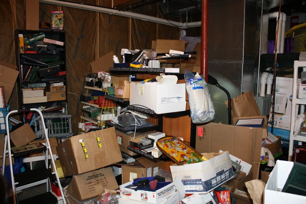 Chaos To Order - Photo 2