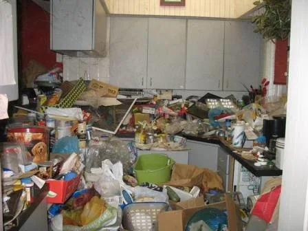 Organization Rules, Inc. - Photo 5