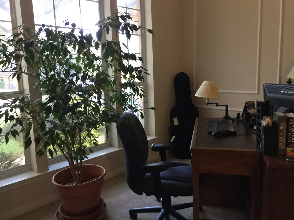 Transformation Images by Texas Premier Professional Organizer - Photo 23