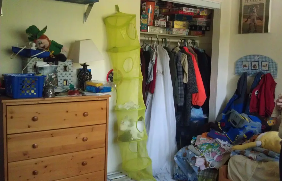 Indoor Organization Initiatives by ARP Organizing & More - Photo 61