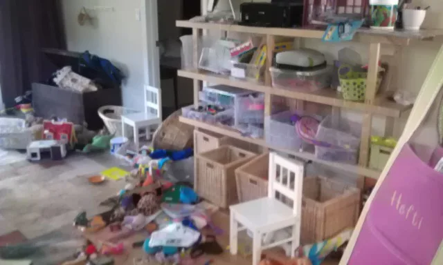 Indoor Organization Initiatives by ARP Organizing & More - Photo 10