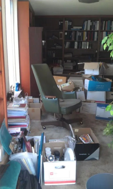 Indoor Organization Initiatives by ARP Organizing & More - Photo 14