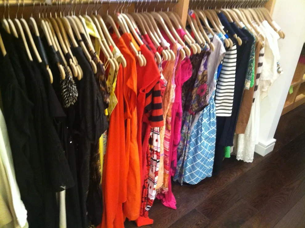 West Village Closet Arrangement by Emily Matles / Emagine Simplicity - Photo 3