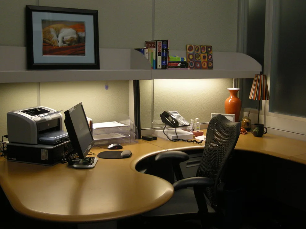 Professional-Organizer.com - Photo 12