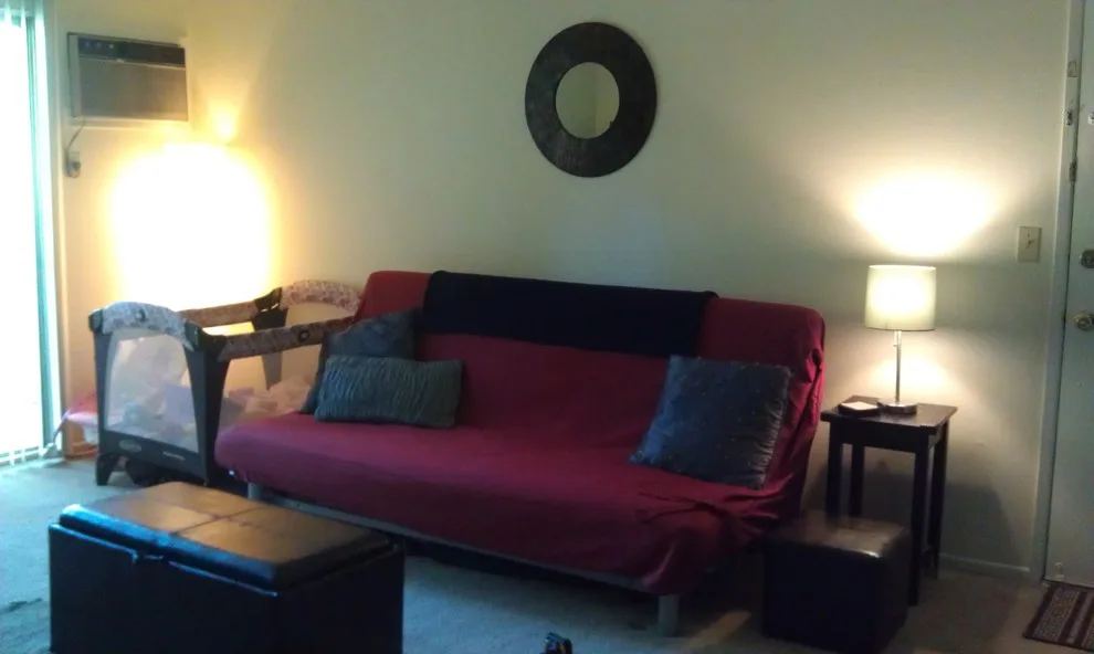 Dining, Entrance, and Living Spaces by ARP Organizing & More - Photo 4