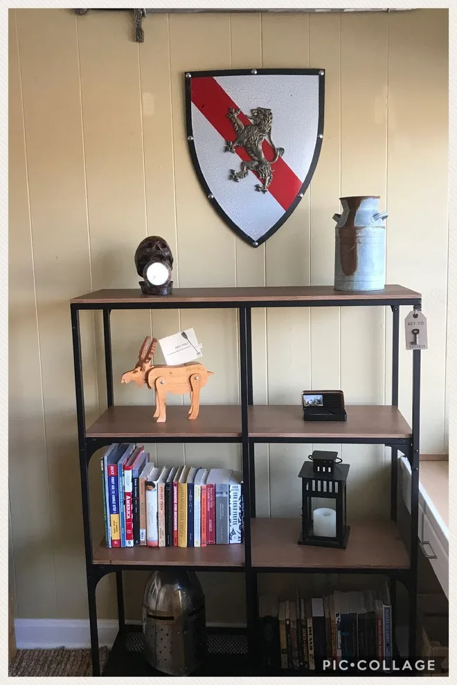 College Room Transformation by Dis-organized, LLC - Photo 23