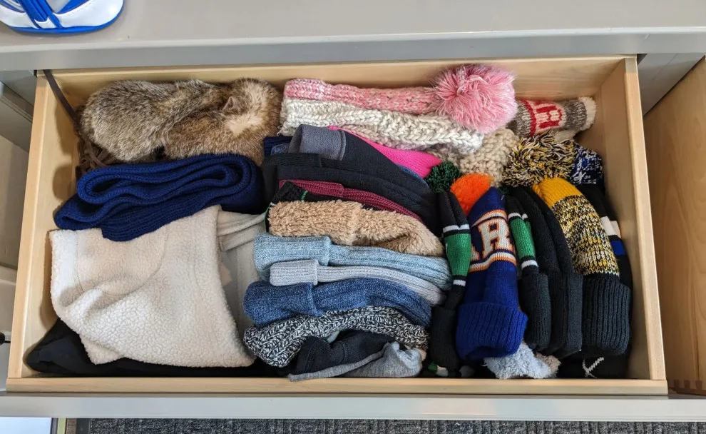 Tidy Archival - Photo 14