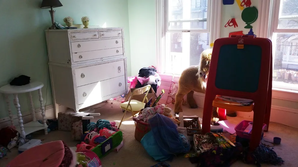 Professional Organizing By Yve Irish - Photo 2