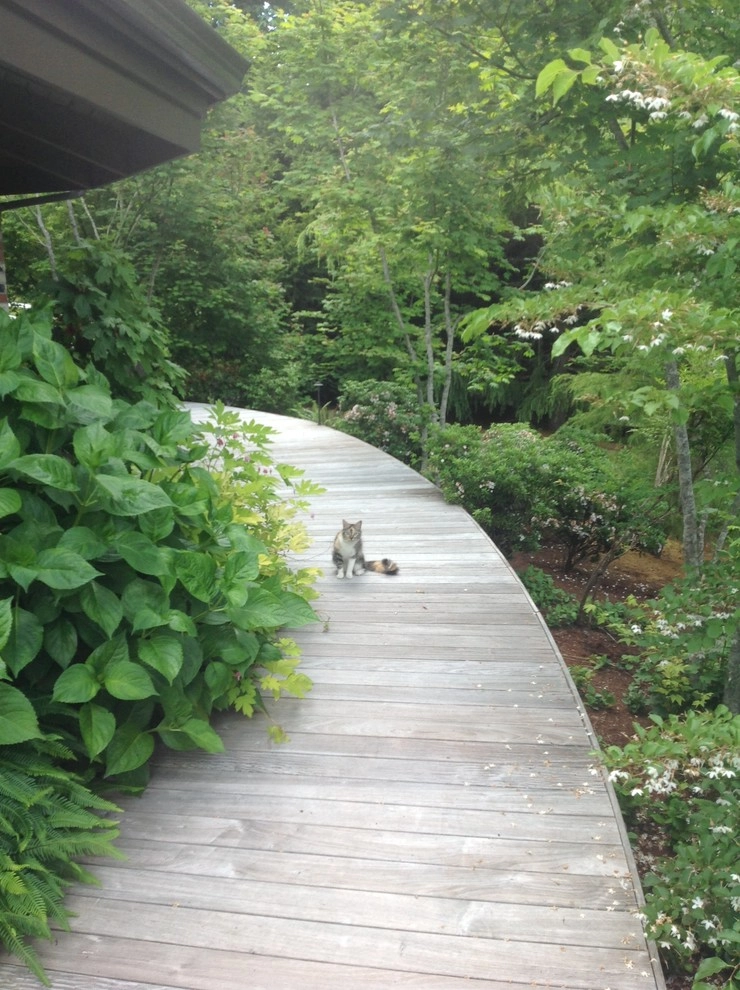 Puget Sound Landscaping, Inc. - Photo 12