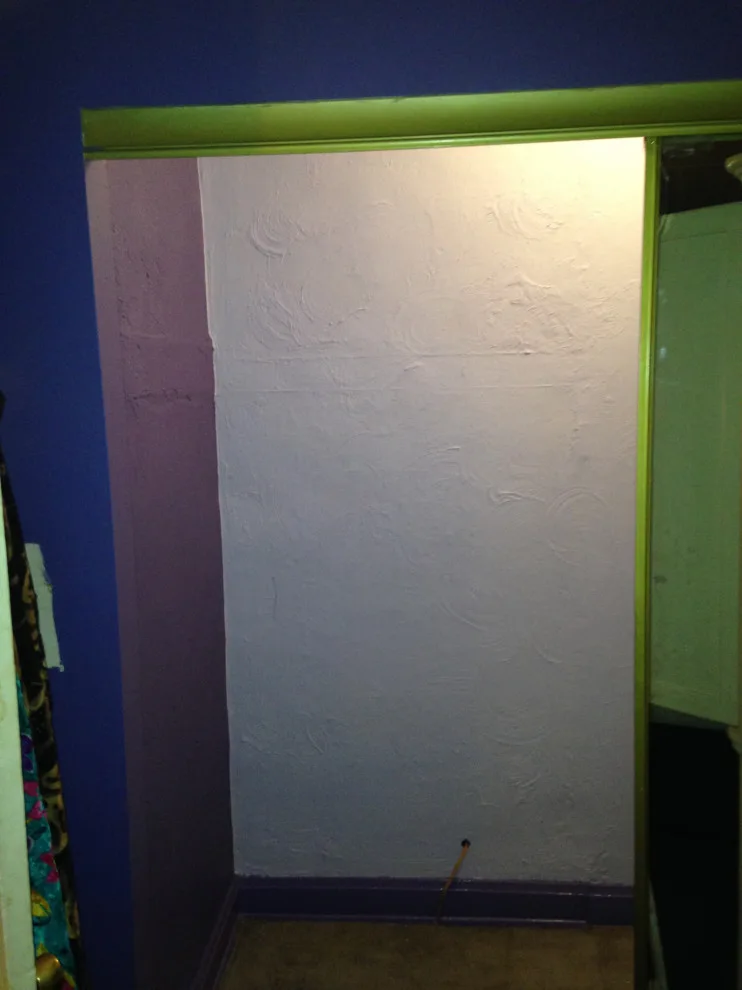 Closet demolition and reconstruction by Letting Go With Lettie - Photo 7