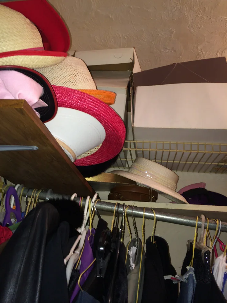 Closet demolition and reconstruction by Letting Go With Lettie - Photo 6