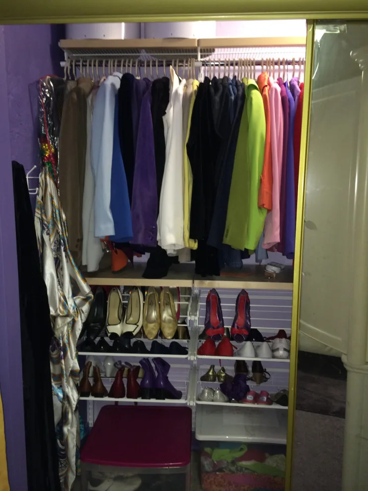 Closet demolition and reconstruction by Letting Go With Lettie - Photo 8