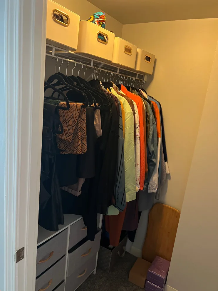 Boston Upscale Apartment Closet Organization by Organized By Natalie - Photo 2