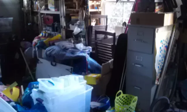 Outbuilding and Garage Organization Initiatives by ARP Organizing & More - Photo 14