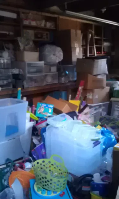 Outbuilding and Garage Organization Initiatives by ARP Organizing & More - Photo 3