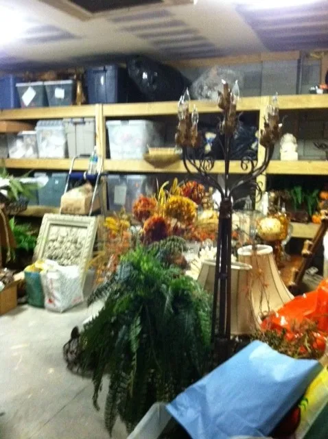 Kiawah LF Storage Organization 2012 by STR8N UP Professional Organizing Services - Photo 9