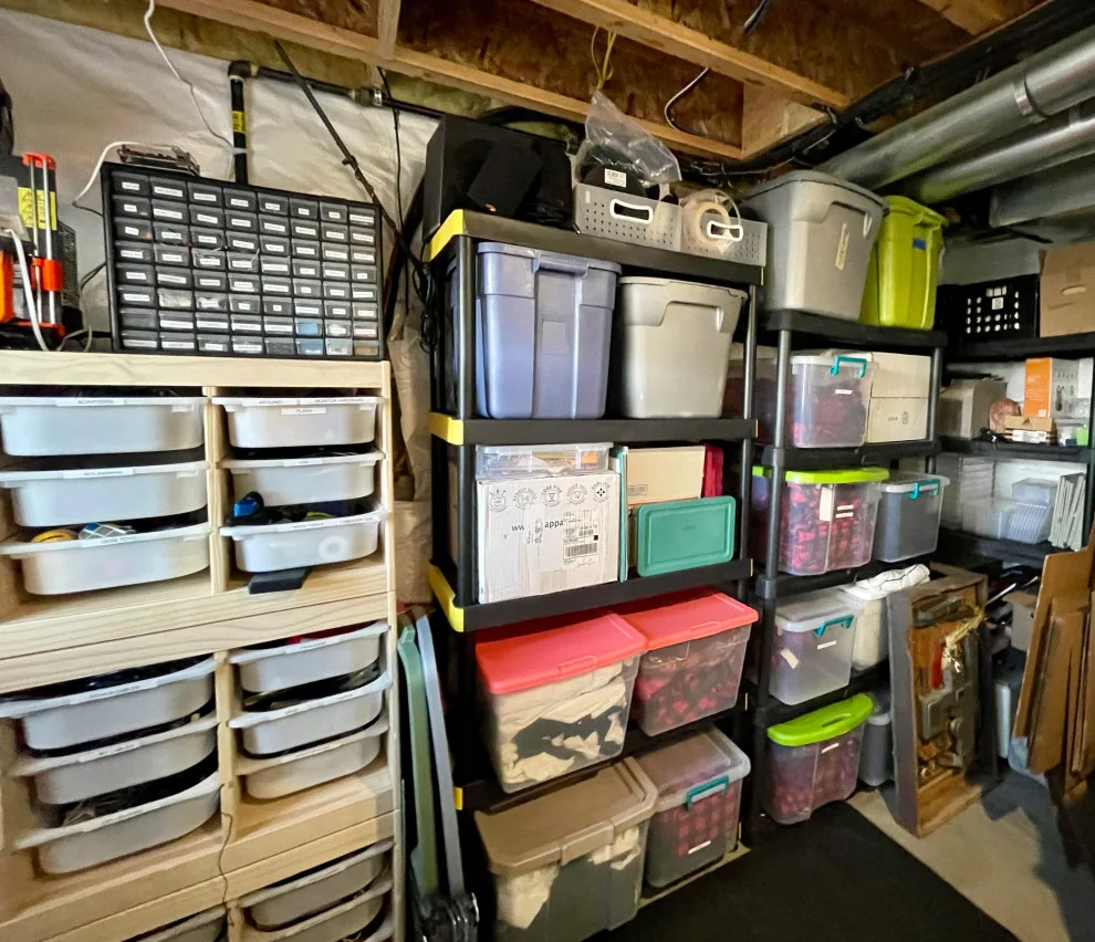 Basement Recreation and Organization Space Design by Room Redefined - Photo 5