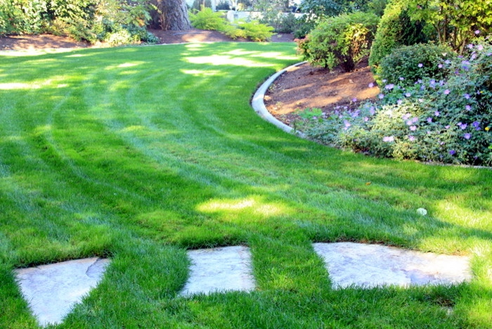 Pathways by Puget Sound Landscaping, Inc. - Photo 10