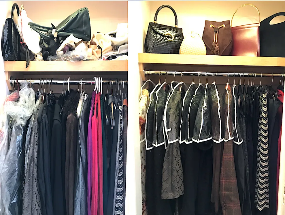 Dr. Organized - Photo 2